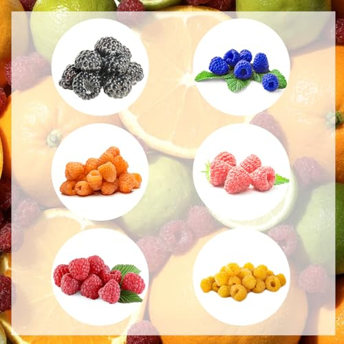 semillas de frutas frambuesas, plantas de exterior Semillas de frutas para plantas de balcón resistentes árboles frutales enanos planta en maceta Árboles frutales columnares, bancales 200pcs