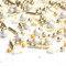 Streusel Cinderella weiss gold 180g Zuckerstreusel Weihnachten von STREUSEL GLÜCK Sprinkles Christmas perfekt für Silvester Plätzchen verzieren Torte