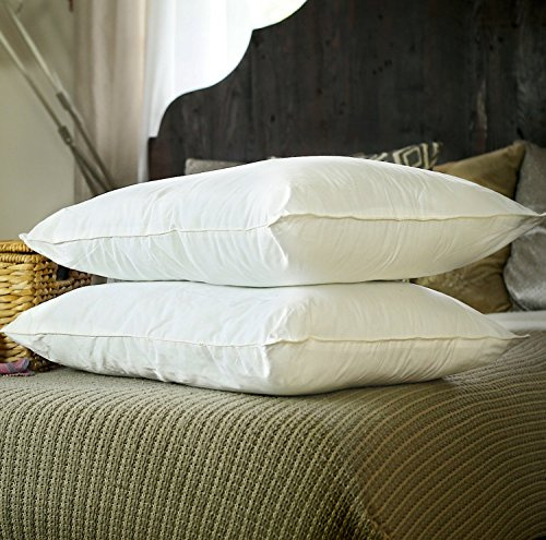 Silk Bedding Direct. Pair of Silk-Filled Pillows. Top Grade Long-Strand Mulberry Silk Wrapped Around a Microfiber Inner Core for Perfect Support. Queen Size, 30 x 20. Rest Your Dreams on Mulberry Si