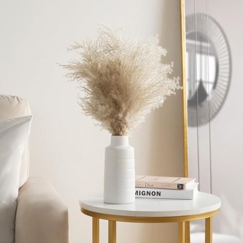 OHS Natural Dried Pampas in Pot, Artificial Plants Home Decorative Dried Flowers for Living Room Bedroom Floral Arrangements Bouquet Pampas Grass Vase Ceramic, White