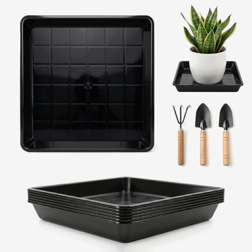 XLTBOMS Paquete de 6 Platillos Cuadrados para Plantas 19 x 19 cm Negro