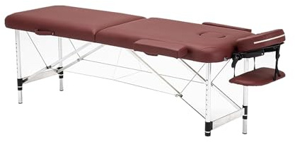 LZLZL Massage Table Bed,Portable 2 Sections Folding Cosmetic Bed,with Armrests,Suitable for Hotel Bedroom Spa Holiday Home Beauty Salon(Color1,186 * 70cm)