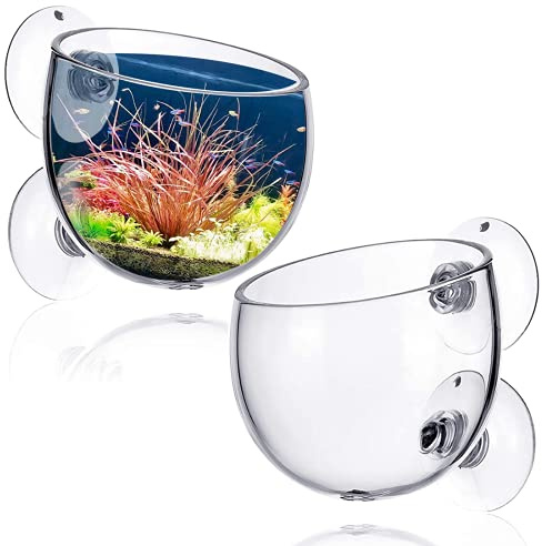 2PCS Clear Glass Aquatic Plant Pots Suction Cups Aquarium Planter Live Plants Fish Tank Holder for Aquarium Decoration