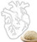 EUBEISAQI Anatomische Herzform - Einzigartige anatomische Herz- und Gehirn-Keksausstecher | Lustige Ausstechformen für, Teige, Donuts, Kuchen, Kekse, Fondant, Partygeschenke