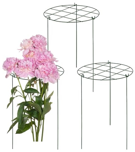 Trädsspaljé För Klätterväxter Stödstavar blomrankstöd och klätterbågar
