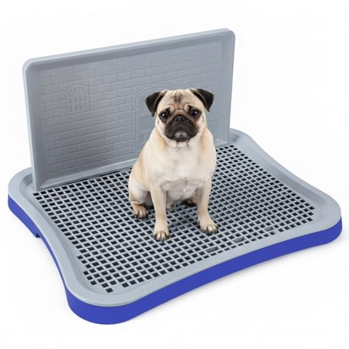 Toilette per cani, Vasino per cani da interno con pareti alte Porta pipì in rete rimovibile, Vasino per cuccioli e di piccola taglia, Blu