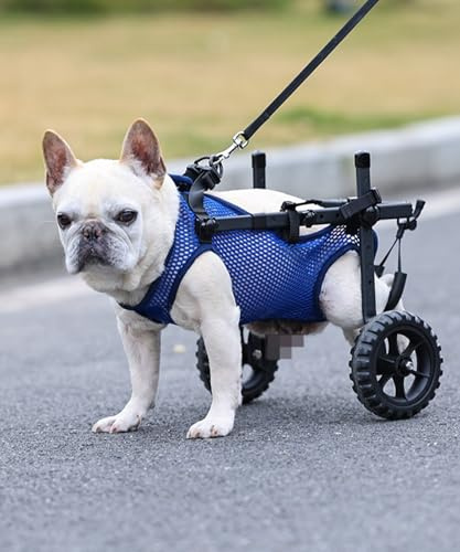 Adjustable Small Dog Wheelchair for Back Legs, Upgraded 5.5in Textured Wheel, Disabled Pets, Leg Brace, Mobility Aid for Small Pets, Hind Limb Rehabilitation, Older, Disabled (S（Chest 13.4-17.7in）)