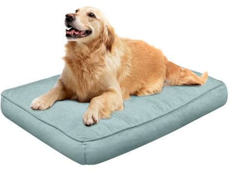EvcgoX Hundebett, Orthopädisches Hundebett Grosse Hunde Mittelgroße Hunde, Abnehmbare Waschbare Hundekissen Hundematte 70x55 cm, Hundematratze mit rutschfestem Boden, Grün M