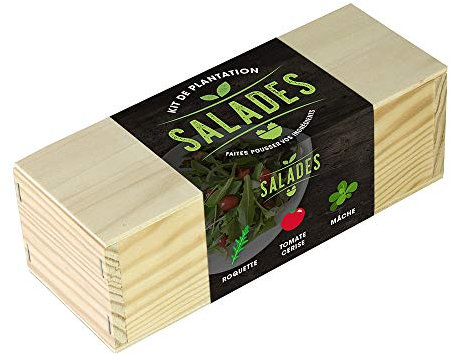 Resetea | Kit de plantation | Salades | Roquette, tomate cerise et mâche.