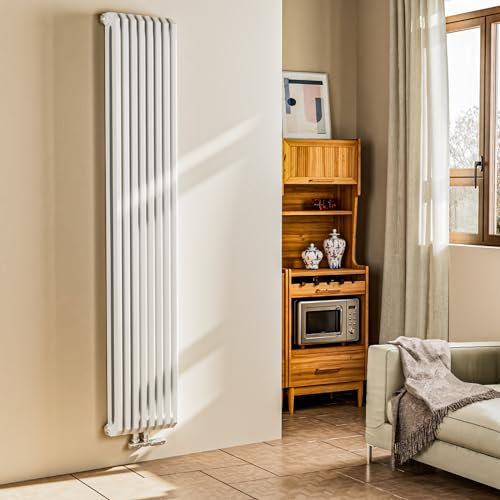 EMKE Radiateur Vertical Design en D, Radiateur Plat à Double Panneau Blanc, 1800x348 mm