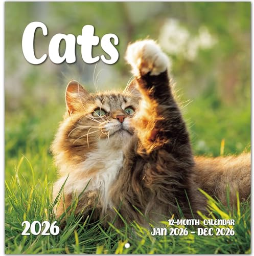 2026 Calendar, Cats Monthly Wall Calendar 2026 Runs from Nov 2025 – Dec 2026, Hanging Wall Calendar, 11.6 x 24Opened, Full Page Layout for Organizing, Perfect Presen