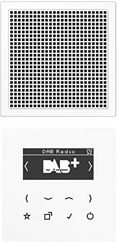 Jung DABLS1WW Smart Radio DAB+ Set Mono Alpinweiß Serie LS