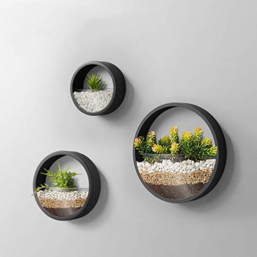 Juego de 3 jarrones colgantes de pared de metal para suculentas, cactus, arañas, plantas de aire, modernos, color negro, decoración del hogar