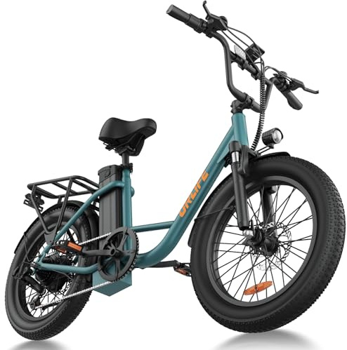 URLIFE Electric Bikes for Adults, 20 x 3.0 Fat Tire E Bike with 7 Speed, 48V 13Ah Removable Battery, 250W Motor Ebike with Colorful LCD Display for Adults (Green)
