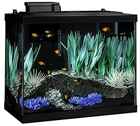 Tetra ColorFusion Aquarium 20 Gallon Fish Tank Kit, Includes LED Lighting and Decor