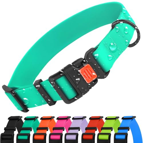 CollarDirect Collar Perro Ajustable Impermeable con Hebilla Fácil de Abrochar - Collar Perros de Nailon Resistente para Perros Pequeños Medianos Grandes y Cachorros (Neck Fit 14-18, Mint Green)