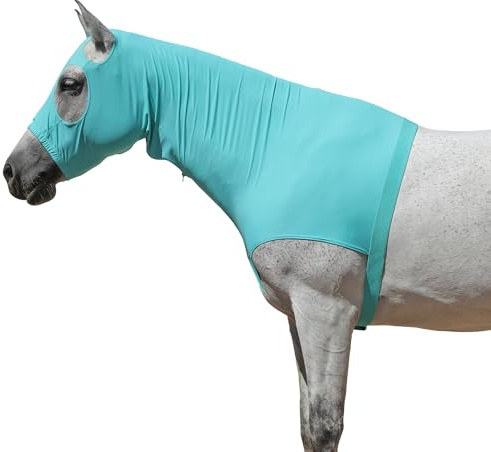 Capuche extensible pour cheval avec fermeture éclair, couverture intégrale du visage et du cou pour une protection contre les démangeaisons – Crinière et bouclier anti-mouches vert turquoise Taille L