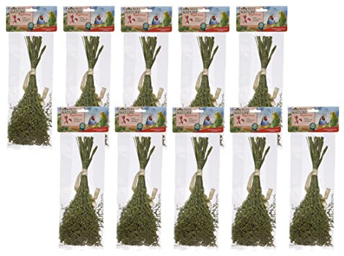 Dehner Best Nature Vogelsnack, Knabberhalme 100 % natürlich, für Wellensittiche / Kanarien / Ziervögel, Rispenhirse, 10 x 50 g (500 g)