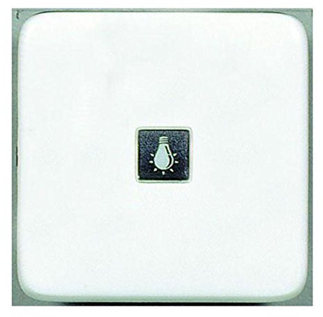 Legrand Kontrollwippe für Kombimontage DB Creo, ultraweiß, mit Symbolen, 776211