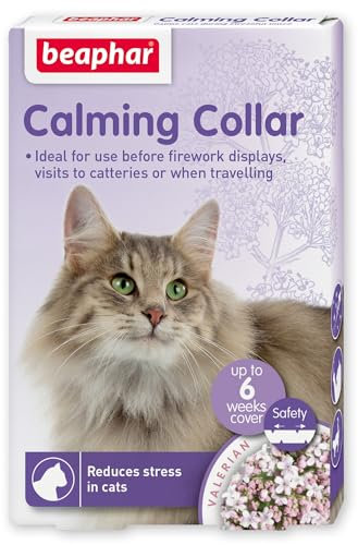 Beaphar – StressLess Herbal Calming Collar for Cats – Reduces Stress & Anxiety at Home and On-the-Go – With Valerian & Lavender – 6 Weeks Long-Lasting Support – 1x Adjustable Safety Collar (35cm)