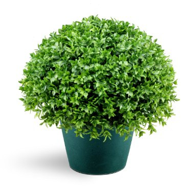National Tree Company Artificial Shrub | Includes Pot Base | Globe Japanese Holly Bush - 13 Inch