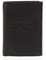 Levi's Clairview Vertical 222543-4 Herren Münzbörsen, 2 x 13 x 10 cm (B x H x T)