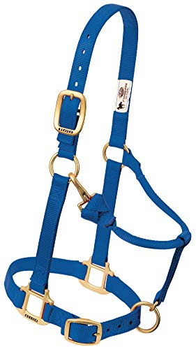 Weaver Leather Cavezza Regolabile in Nylon, 2,5 cm, Grande, Blu