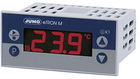 Digitaler Thermostat, 1 Relais, Pt100, Pt1000, KTY, AC/DC 12 bis 24 V