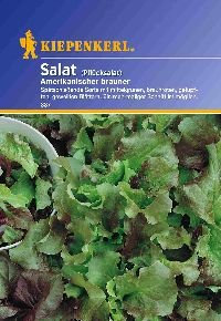 Kiepenkerl 337 Pflücksalat Amerikanischer brauner (Pflücksalatsamen)
