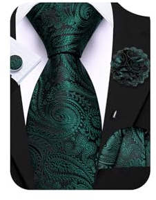 Barry.Wang Green Tie 63 Paisley Silk Ties Set Pocket Square Cufflinks and Lapel Pin Extra Long Necktie Wedding
