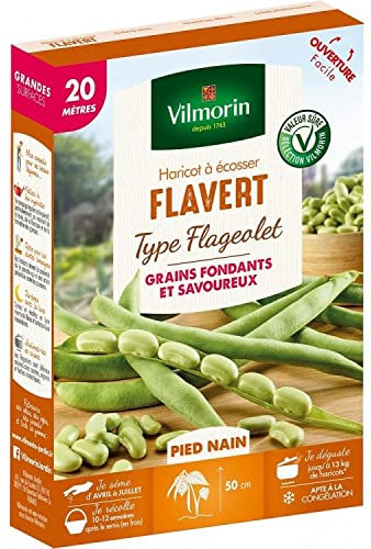 Vilmorin - Haricot Nain A Écosser Flavert 20m (Flageolet) (Sélection