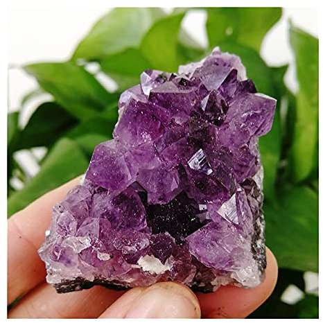 AZOOB 80-100g 1-6PCS Natural Uruguay Amatista Cluster Cave Piezas de especímenes de Piedra Originales colocados Regalo ERTEYIN (Size : One Size)