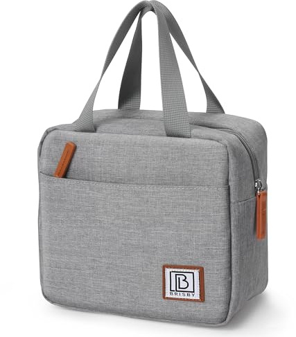 Brisby Kühltasche Klein - 4L, Lunchtasche, Vierschicht Isolierte Kühltasche mit Kühlelemente, Vielseitige Lunchbag in Hellgrau