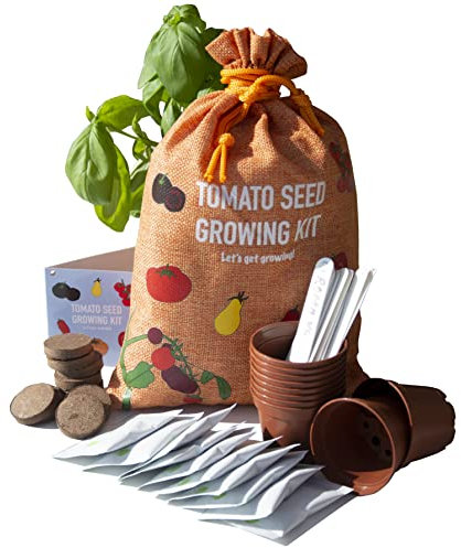 Scott&Co. Tomato Seed Kit, 10 Different Tomato Seeds Varieties to Grow Your Own, Cherry, Moneymaker, Tigerella. Seeds, Pots, Labels and Compost Discs. Christmas Gifts for Women and Men.