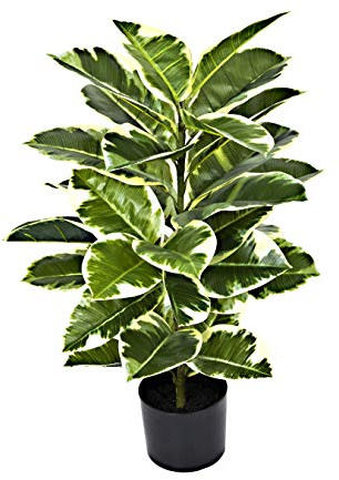 GreenBrokers Artificial 98cm Real Touch Rubber Plant in Pot