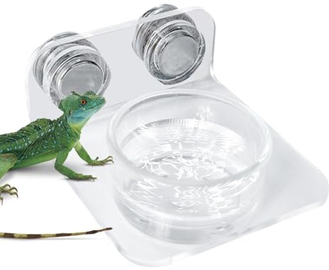 Magnetiska reptiler, reptilfoder magnetisk foderskål, magnetisk Gecko-vattenskål, sugpropp Food Tably Gecko, för ödlor, kameleonter, trädgrodor och små husdjur
