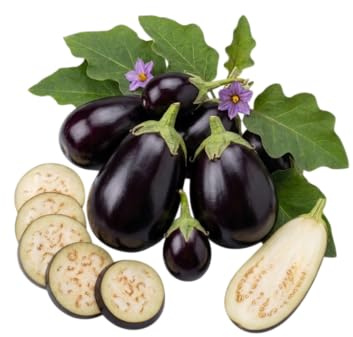 DECOALIVE Semillas de Berenjena de Color Intenso para Cultivo Urbano y Producción Doméstica