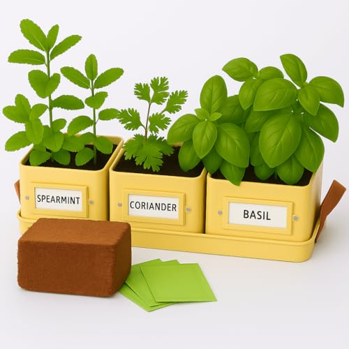 Gardening Naturally Set di 3 vasi da cucina per erbe aromatiche da cucina con vassoio, vasi quadrati in acciaio verniciato a polvere, 10,5 cm, grigio tortora, crema al burro, verde menta (kit per erbe