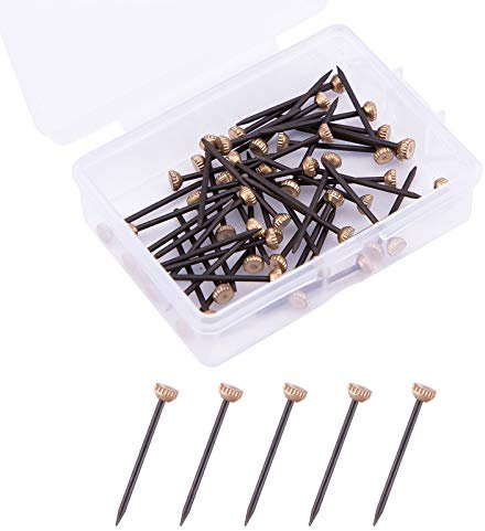 AIEX 50 Pièces Clous de Suspension Solutions de Suspension de Photo Cintres de Cadre en Plâtre avec Boîte de Rangement en Plastique