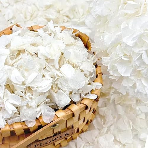 Más de 2500 pétalos de hortensia blancos secos reales de Lvory – 1.7 onzas preservadas de flores naturales para decoración de bodas, confeti de fiesta, centros de mesa de cena, manualidades