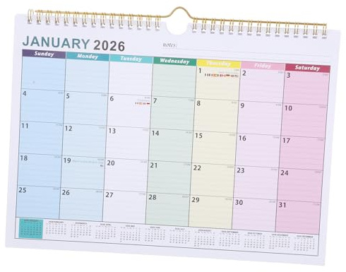 Cabilock Calendrier Mural Planificateur Mois avec Vacances Internationales Calendrier Mensuel Vertical pour Bureau et Organisation Murale à Domicile