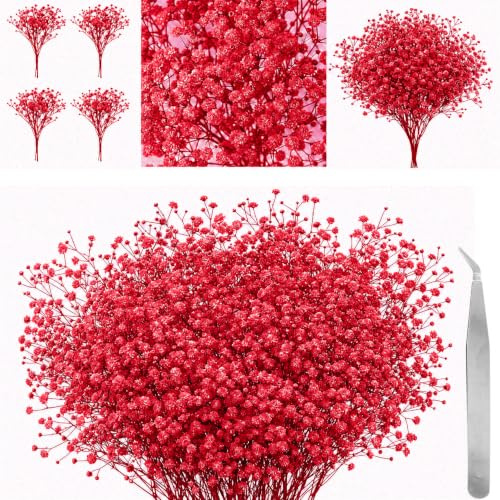 60 st Torkade Pressade Brudslöja Blommor med Pincett, Äkta Natur Gypsophila Torkade Blommor för Hartshantverk DIY Korttillverkning Bröllopstårta (Röd)