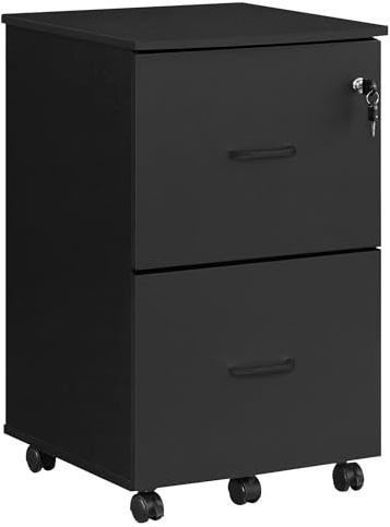 VASAGLE 2-Drawer File Cabinet, Locking Filing Cabinet for Home Office, Small Rolling Printer Stand, A4, Letter-Size Hanging Files, Assembly Required, Black ULCD027T16V2