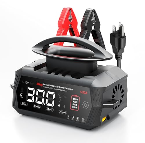 C30A Caricabatteria da auto 6 V/12 V/24 V per auto, moto, tosaerba, barca, litio, LiFePO4 e acido piombo (AGM, Gel, MF, EFB, SLA, VRLA, Wet)
