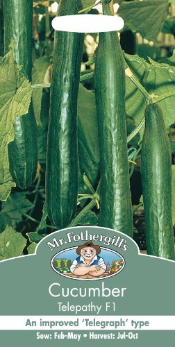 Mr Fothergill?s Seeds Ltd 12563 Vegetable Seeds, Cucumber Telepathy F1
