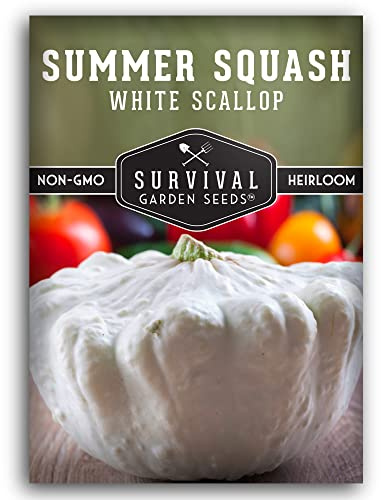 White Scallop Patty Pan Squash Seeds for Planting - Heirloom Summer Vegetable Variety for Home Gardens - Non-GMO, Open-Pollinated- Survival Garden Seeds (1 Pack)