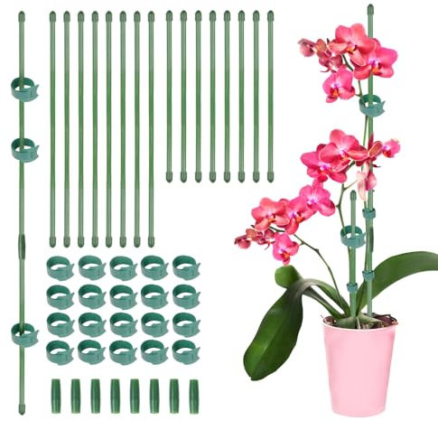 16pz Bastoncini di Supporto Sostegno per Piante Rampicanti, 30cm e 20cm, Stecche Piante, Mini Tutori Verde Paletti per Fiori in Vaso Orchidee Pomodori