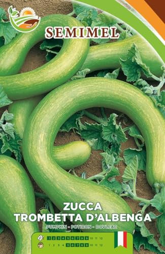 Zucca Trombetta d'Albenga - Semi di Zucca Rampicante a Basse Esigenze Termiche, Sapore Delizioso, Coltivazione con Sostegni Semina Primaverile 3 confezioni