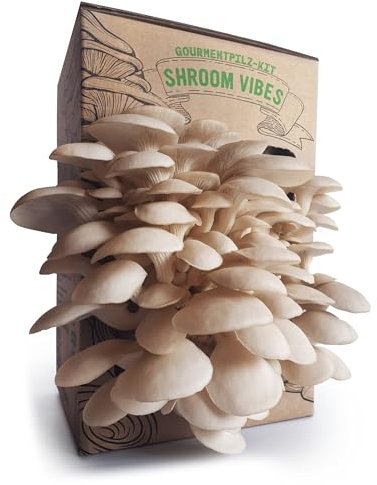 Pearl Oyster Mushroom Growing Kit | Einfache Heimkultivierung | Reich an Protein und Nährstoffen | Milder Geschmack | Frische Gourmetpilze in wenigen Wochen