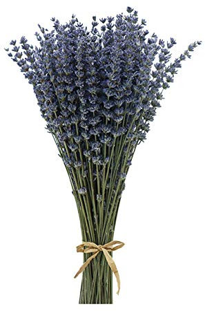 CoolCrafts Ramos de Lavanda Seca, 400+ Ramitas de Lavanda Seca Natural, Flores Secas Decoración del Hogar Ramos de Boda